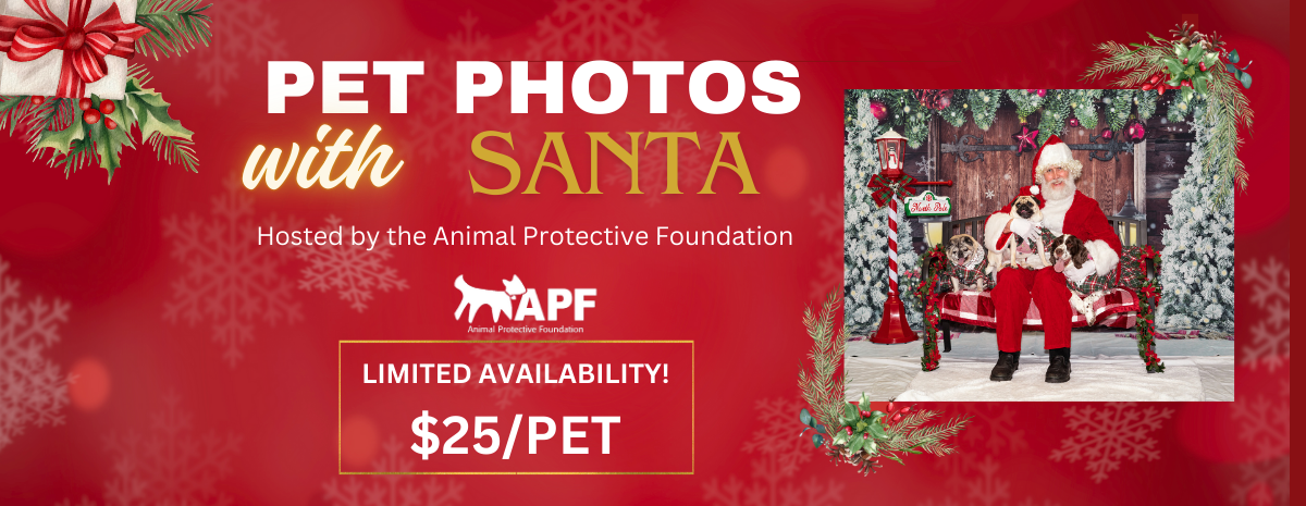 2025 Pet Photos With Santa